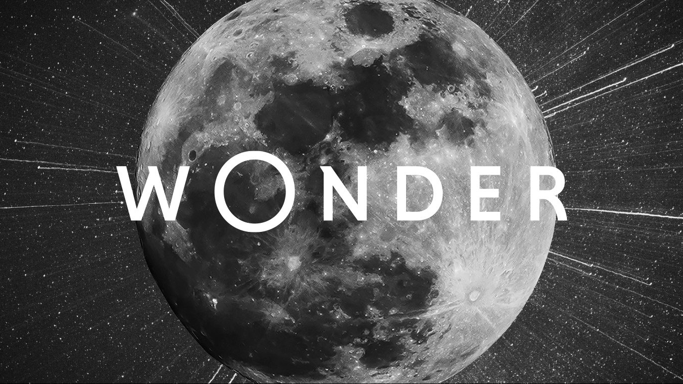 Wonder